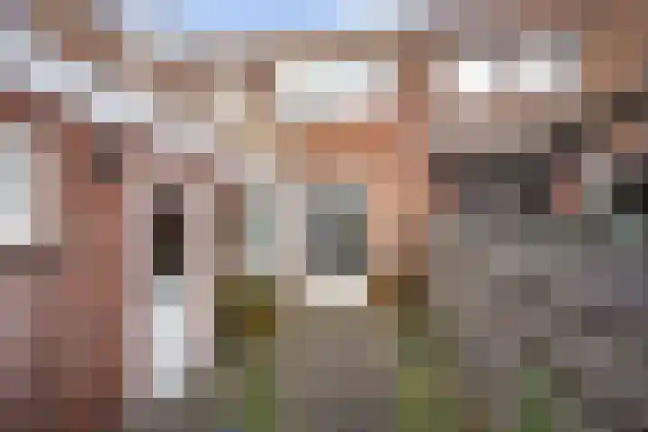 Franekerstraat 27 Leeuwarden thumbnail 5