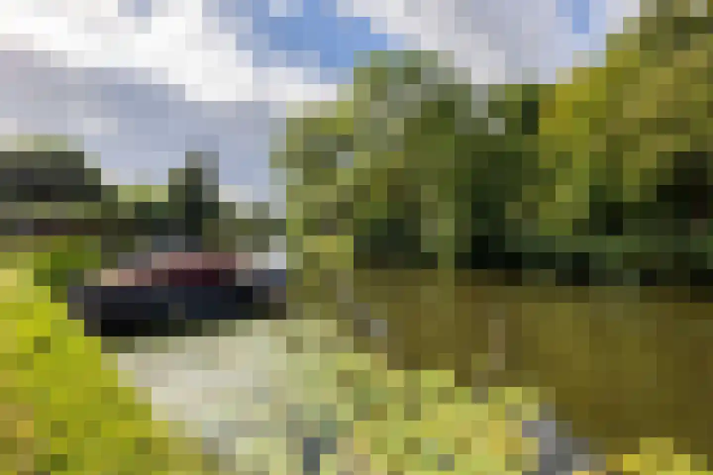 Franekervaart 14 b Sneek thumbnail 10
