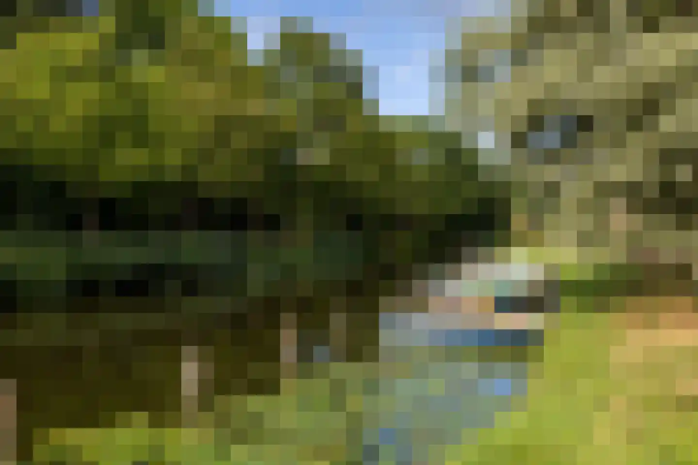 Franekervaart 14 b Sneek thumbnail 11