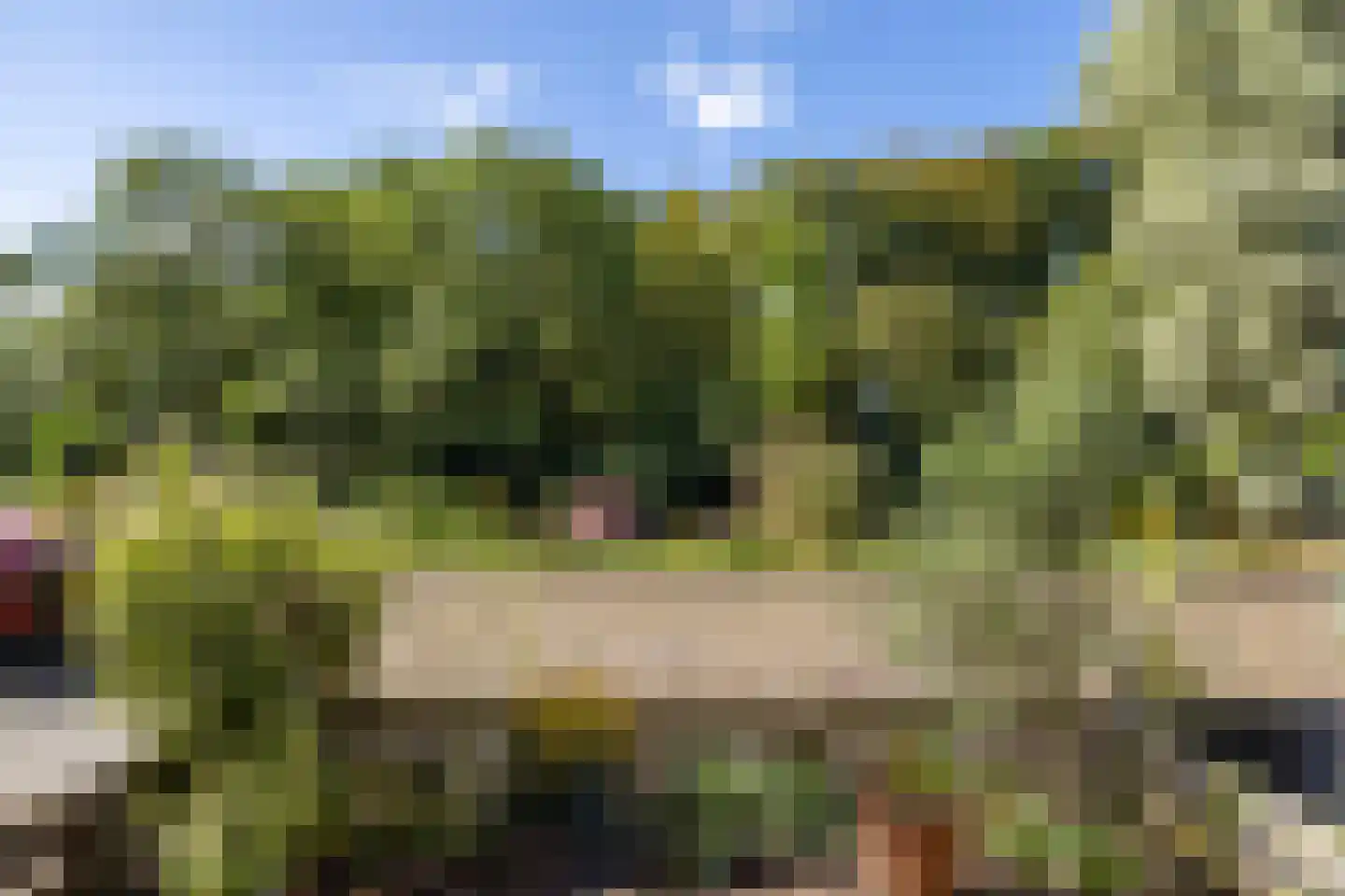 Franekervaart 14 b Sneek thumbnail 20