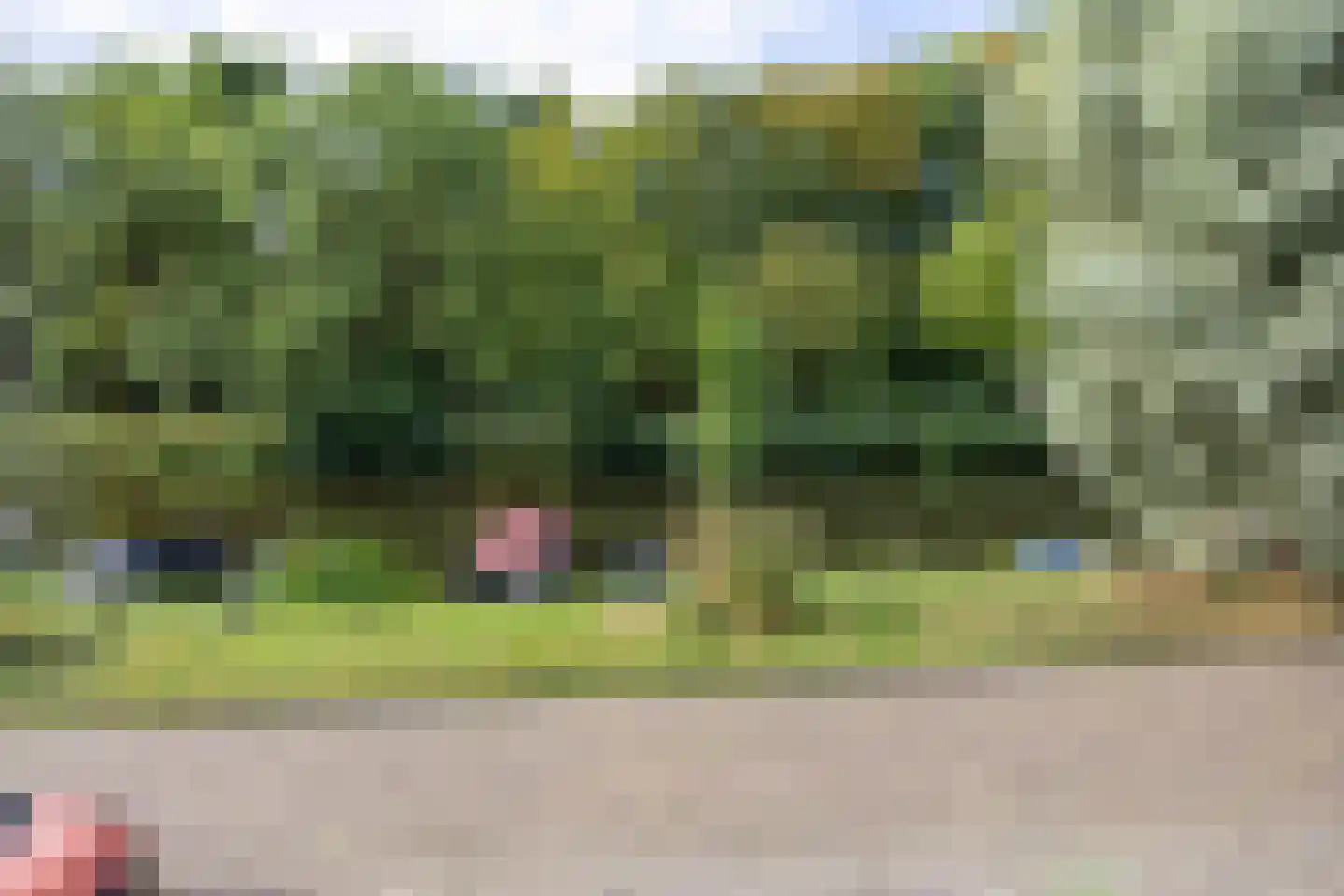 Franekervaart 14 b Sneek thumbnail 31