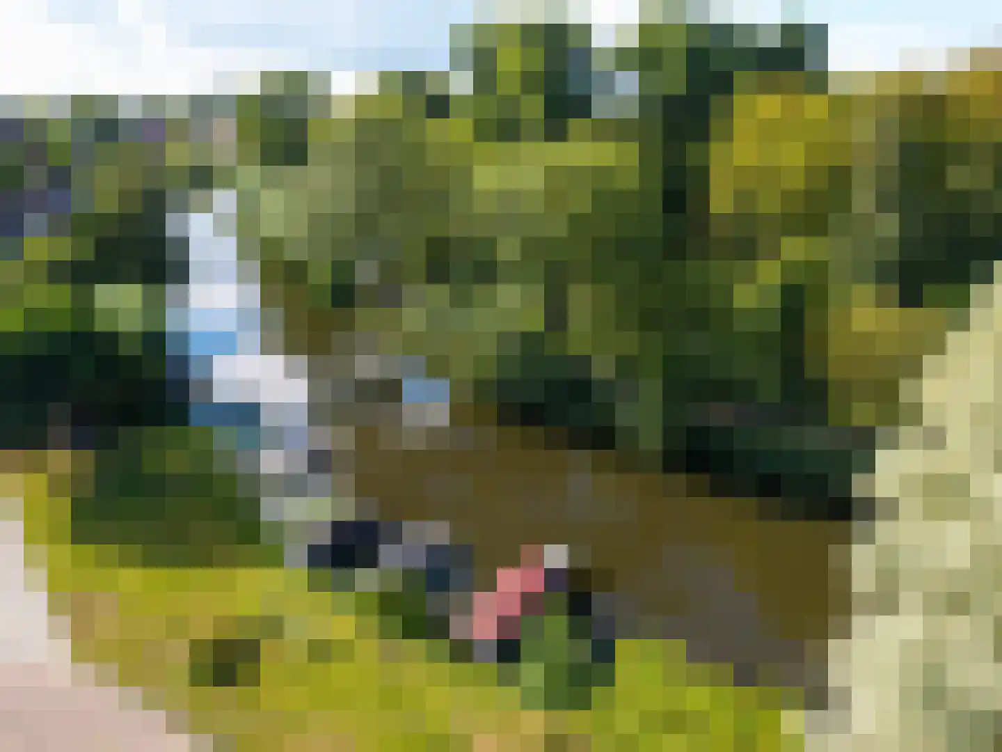 Franekervaart 14 b Sneek thumbnail 54