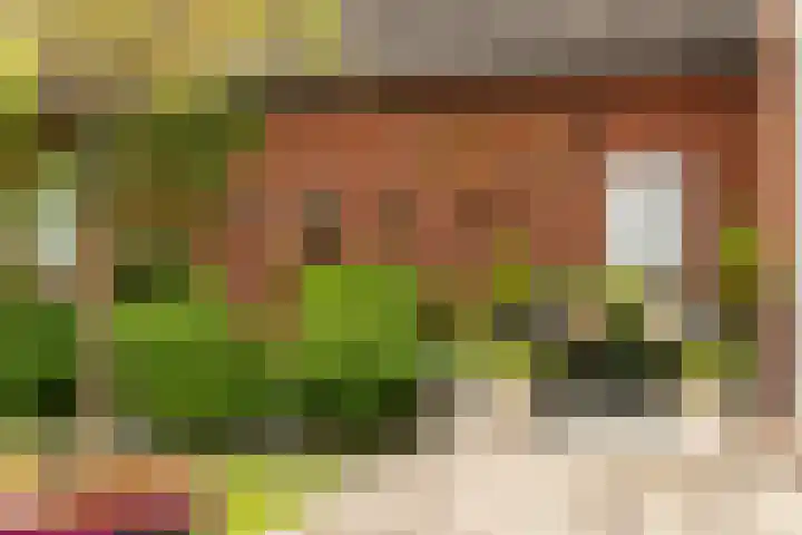 Franekerweg 23 Tzum thumbnail 11