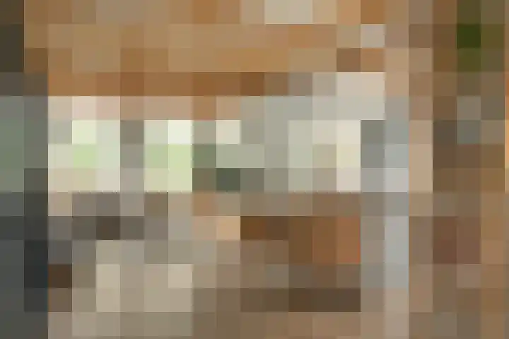 Franekerweg 23 Tzum thumbnail 13