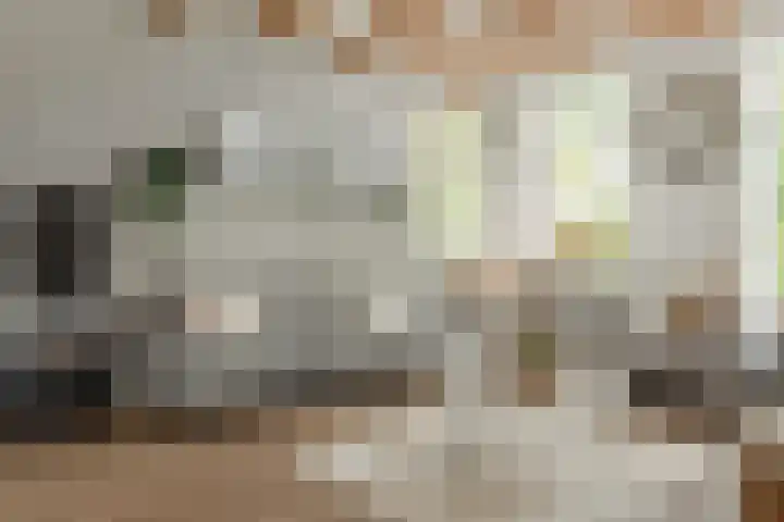 Franekerweg 23 Tzum thumbnail 16