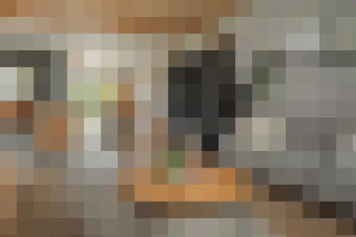 Franekerweg 23 Tzum thumbnail 17