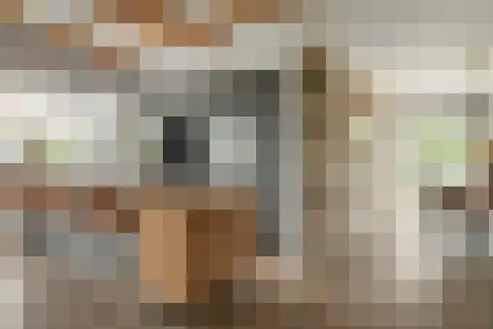Franekerweg 23 Tzum thumbnail 18