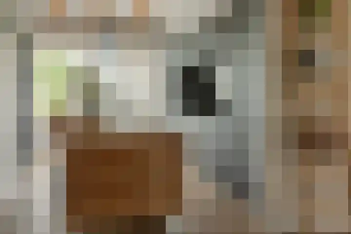Franekerweg 23 Tzum thumbnail 19