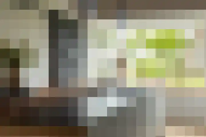 Franekerweg 23 Tzum thumbnail 21