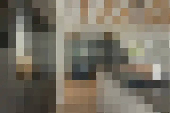 Franekerweg 23 Tzum thumbnail 23