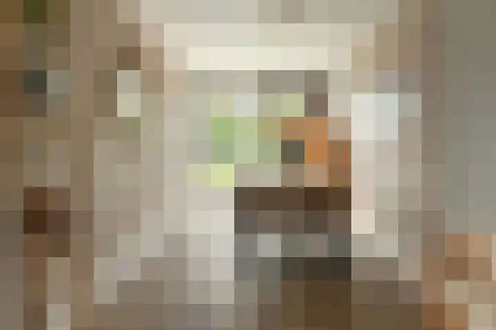 Franekerweg 23 Tzum thumbnail 24