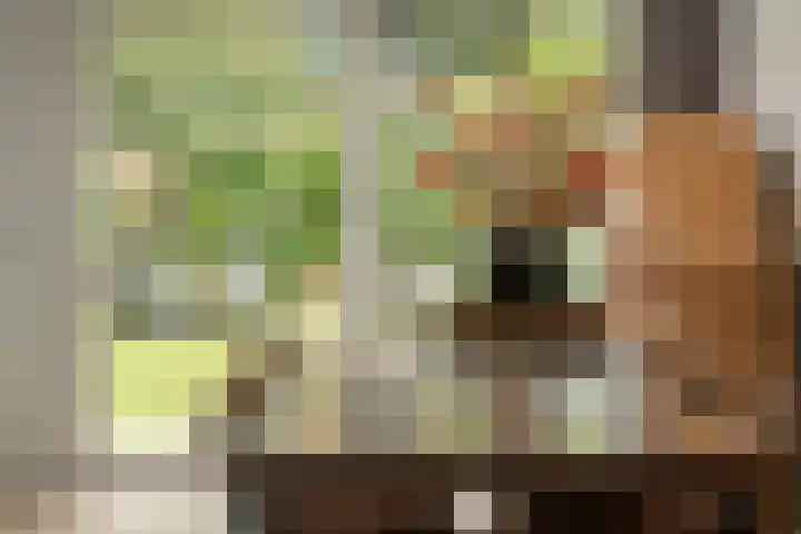 Franekerweg 23 Tzum thumbnail 25