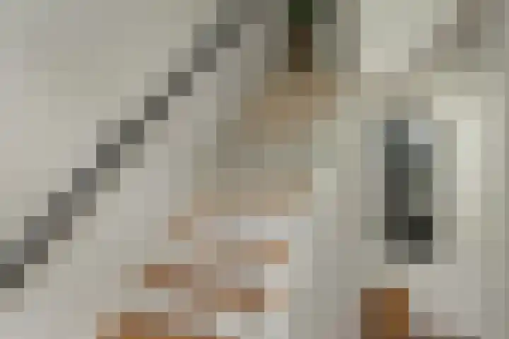Franekerweg 23 Tzum thumbnail 33