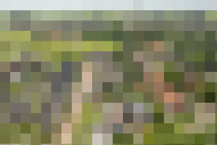 Franekerweg 23 Tzum thumbnail 4