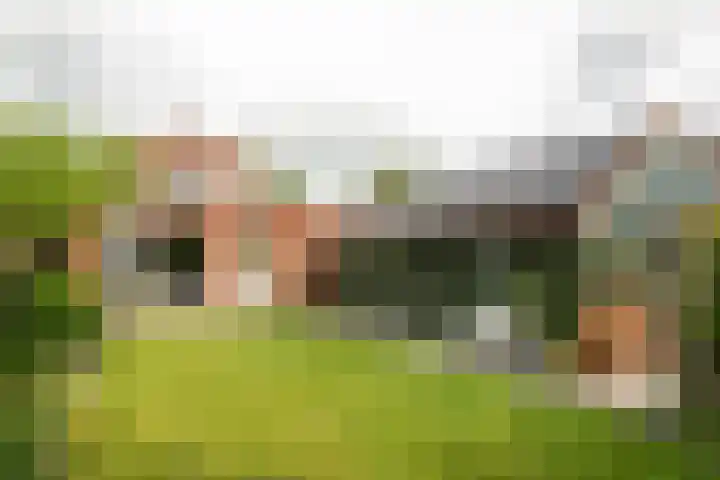 Franekerweg 23 Tzum thumbnail 42