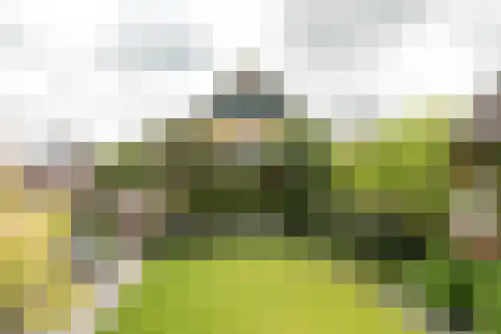 Franekerweg 23 Tzum thumbnail 44