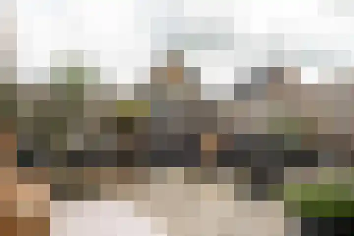 Franekerweg 23 Tzum thumbnail 46