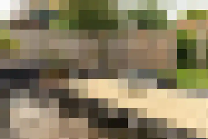 Franekerweg 23 Tzum thumbnail 47