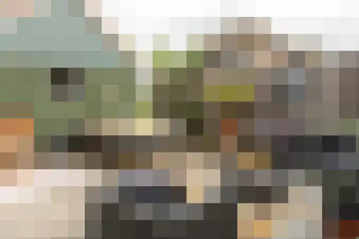 Franekerweg 23 Tzum thumbnail 48