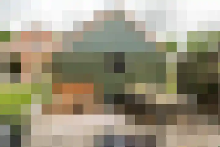 Franekerweg 23 Tzum thumbnail 49