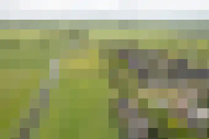 Franekerweg 23 Tzum thumbnail 5