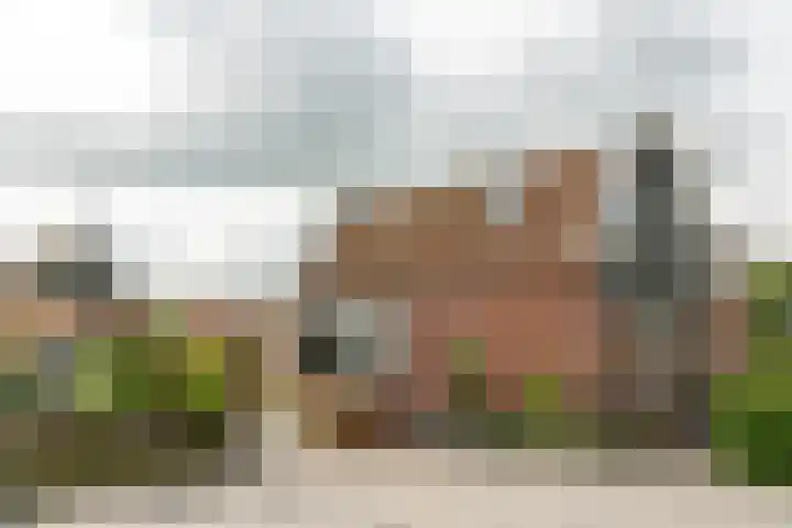 Franekerweg 23 Tzum thumbnail 53