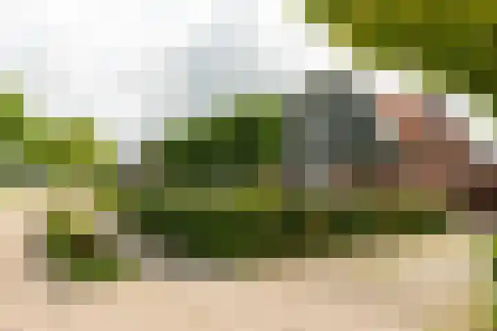Franekerweg 23 Tzum thumbnail 56