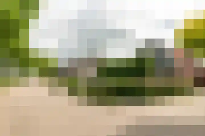 Franekerweg 23 Tzum thumbnail 57