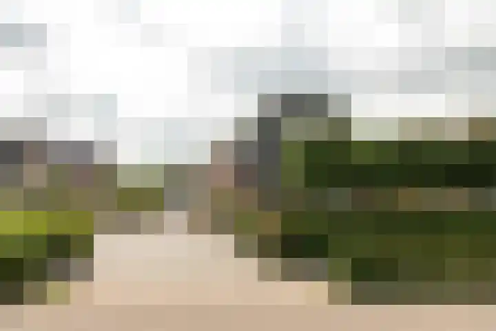 Franekerweg 23 Tzum thumbnail 58