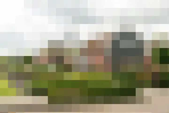 Franekerweg 23 Tzum thumbnail 59
