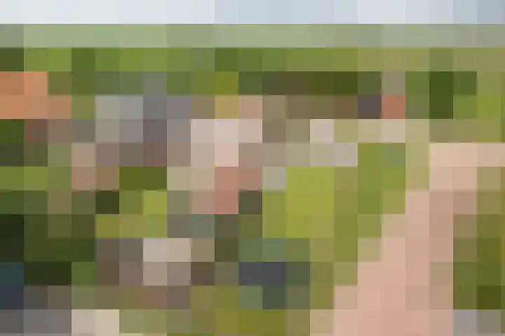 Franekerweg 23 Tzum thumbnail 6