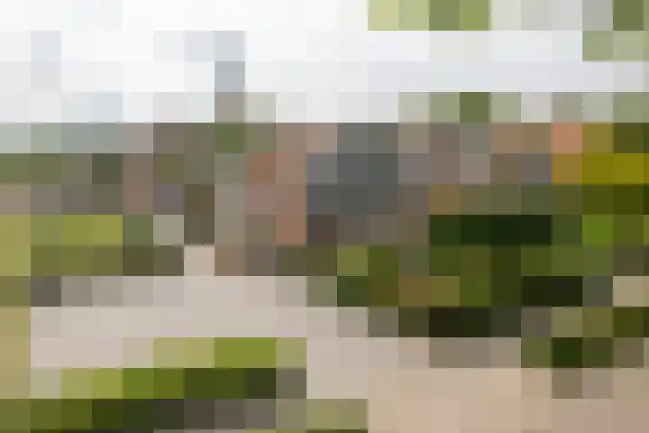 Franekerweg 23 Tzum thumbnail 60