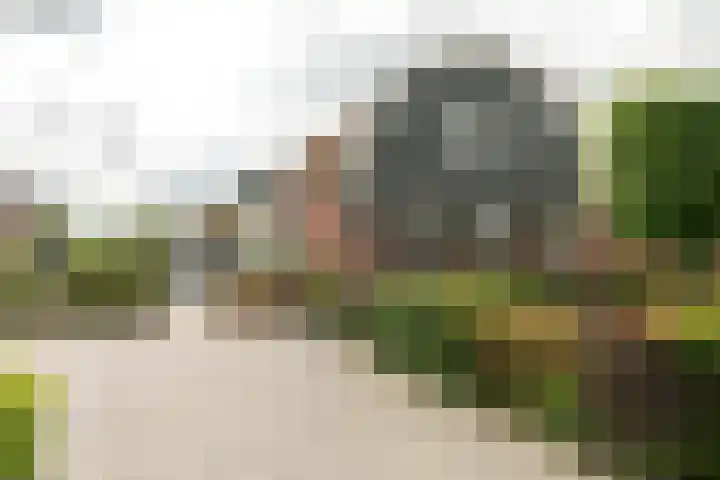 Franekerweg 23 Tzum thumbnail 7