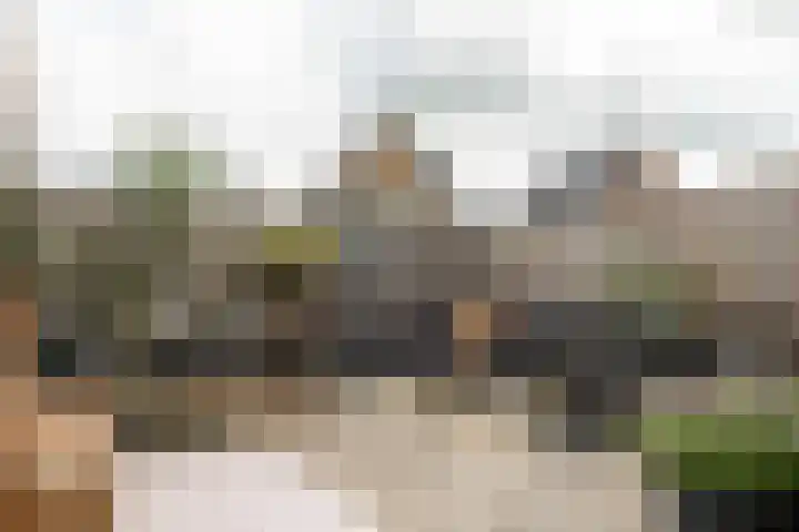 Franekerweg 23 Tzum thumbnail 9