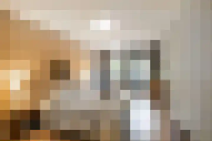 Franjezwam 20 Veenendaal thumbnail 11