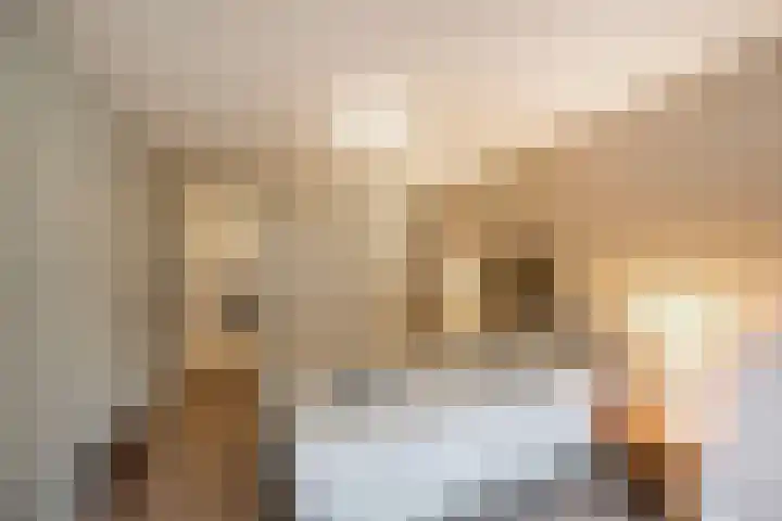 Franjezwam 20 Veenendaal thumbnail 12