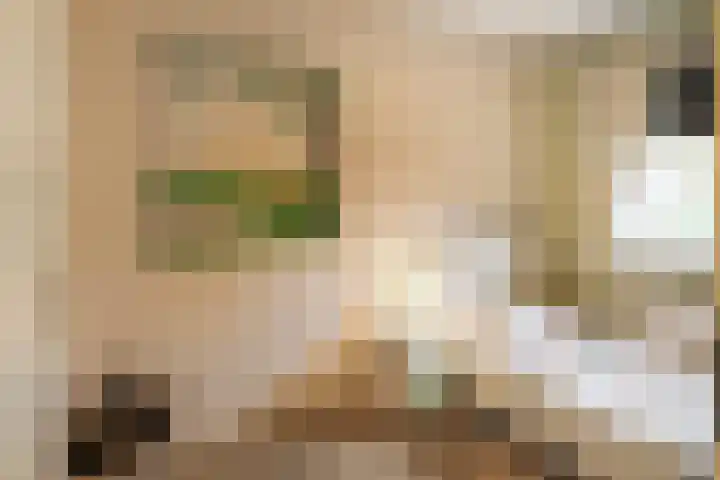 Franjezwam 20 Veenendaal thumbnail 18