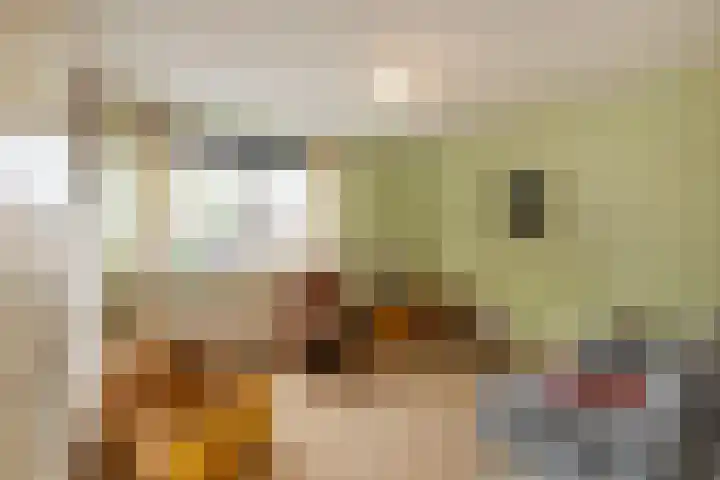 Franjezwam 20 Veenendaal thumbnail 19