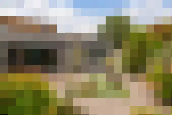 Franjezwam 20 Veenendaal thumbnail 23