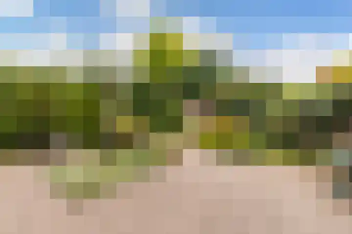 Franjezwam 20 Veenendaal thumbnail 24