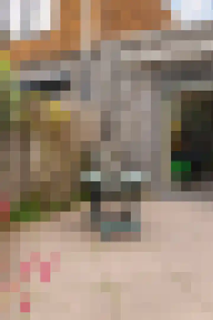 Franjezwam 20 Veenendaal thumbnail 25