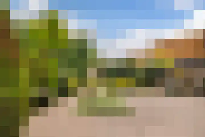 Franjezwam 20 Veenendaal thumbnail 26