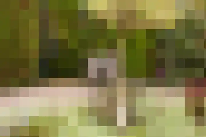 Franjezwam 20 Veenendaal thumbnail 29