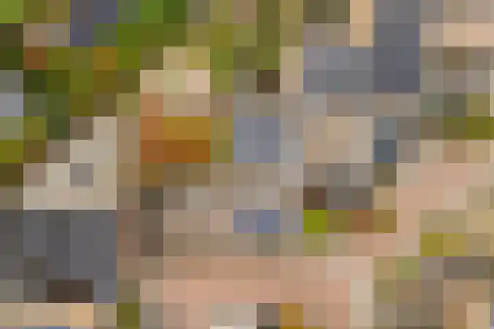 Franjezwam 20 Veenendaal thumbnail 30
