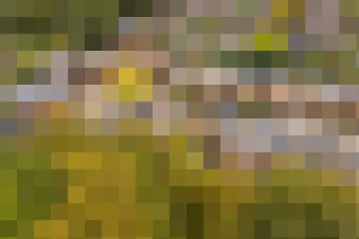 Franjezwam 20 Veenendaal thumbnail 31