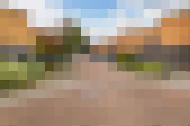 Franjezwam 20 Veenendaal thumbnail 32