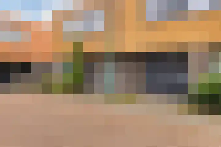 Franjezwam 20 Veenendaal thumbnail 33