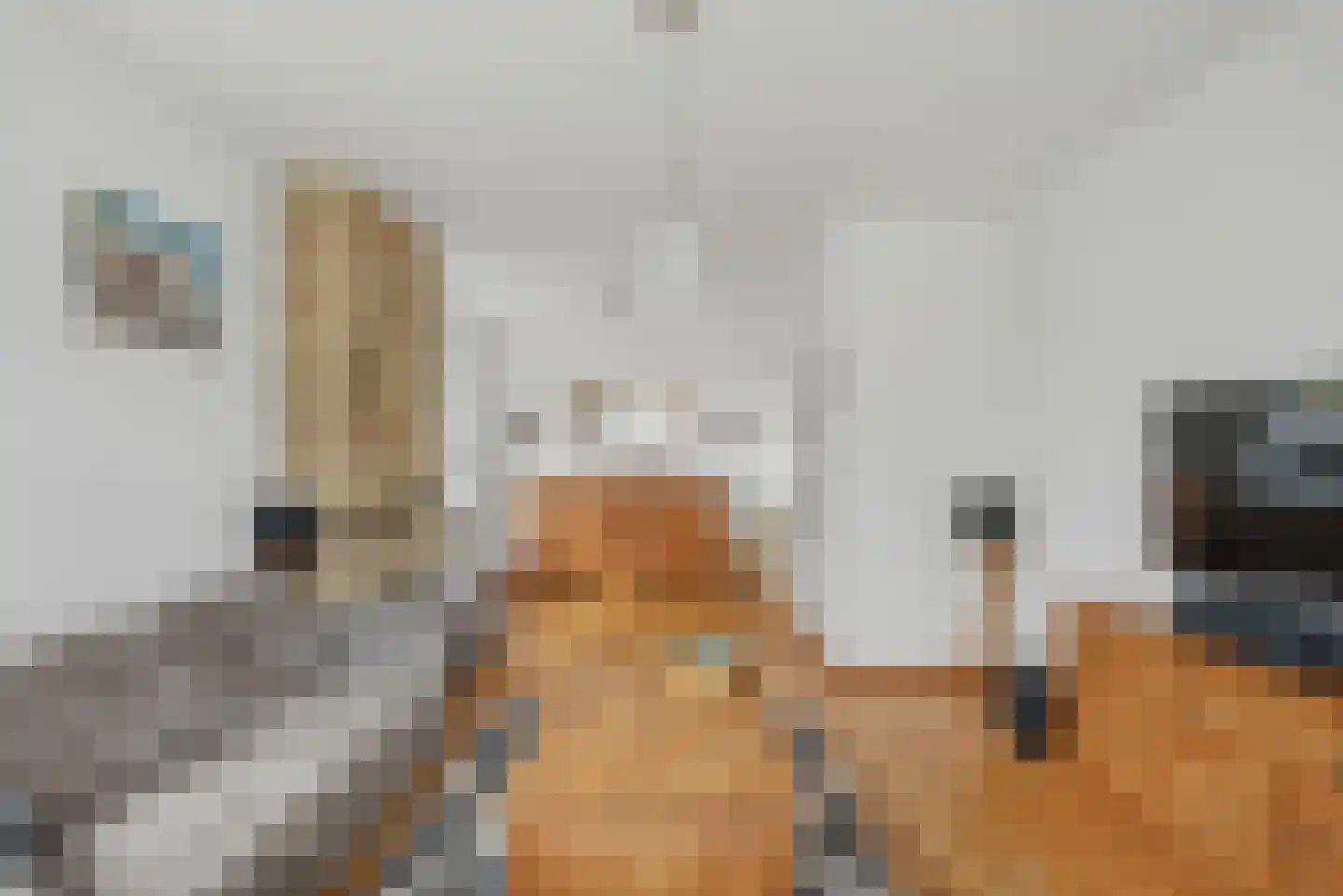 Franjumbuorsterpaed 32 Marsum thumbnail 15