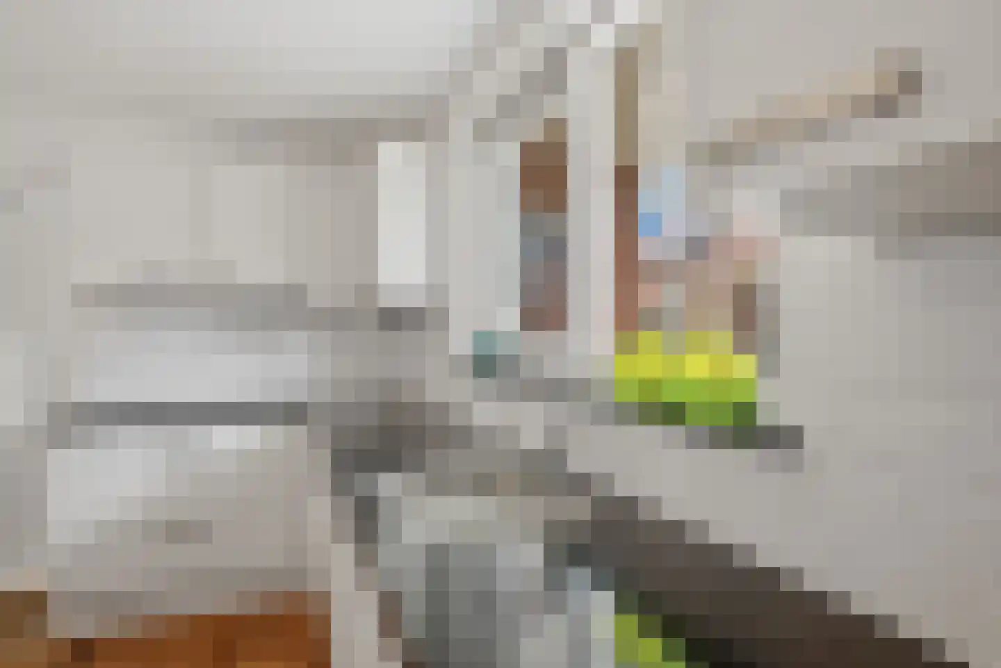 Franjumbuorsterpaed 32 Marsum thumbnail 19