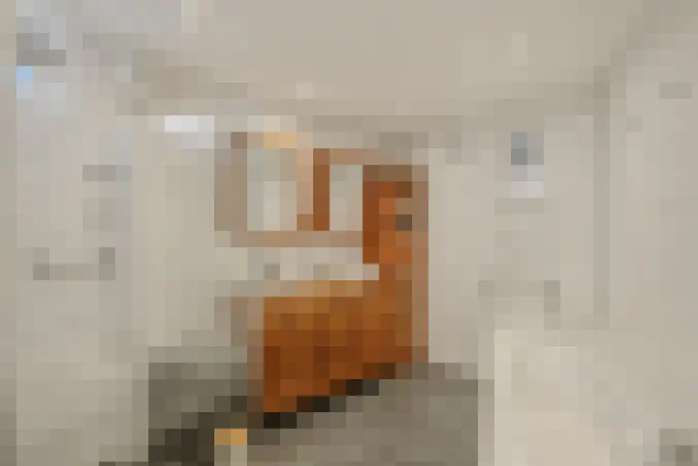 Franjumbuorsterpaed 32 Marsum thumbnail 23